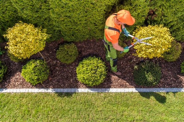 Cost of Topiary Trimming in Overland Park