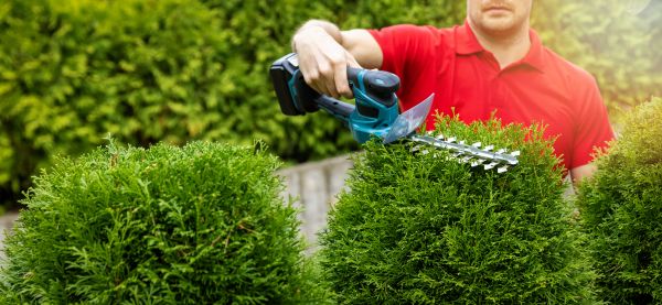Cost of Hedge Shaping Service in Overland Park
