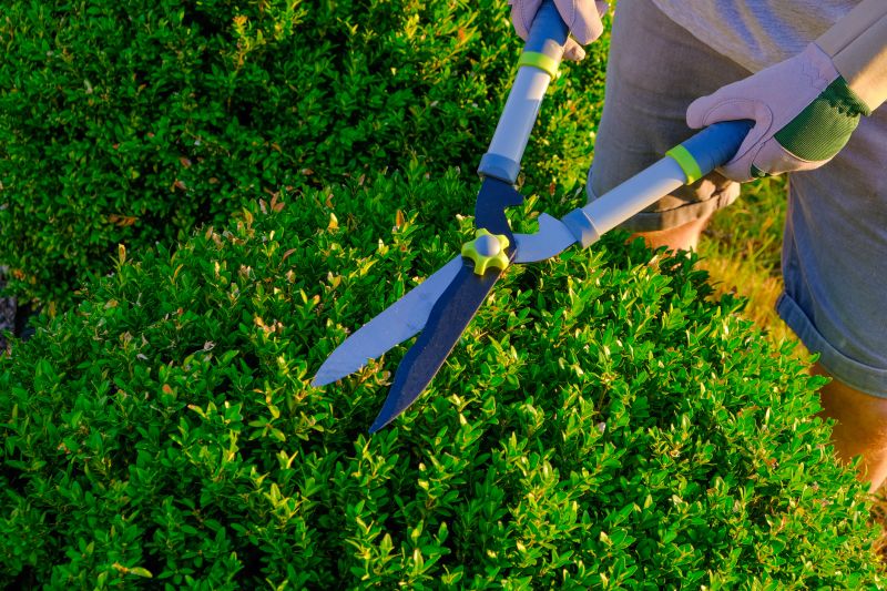 Topiary Shearing